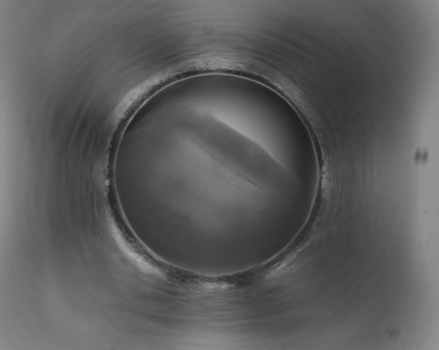 X0000111810438200907231238