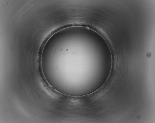 X0000111810439200907231238