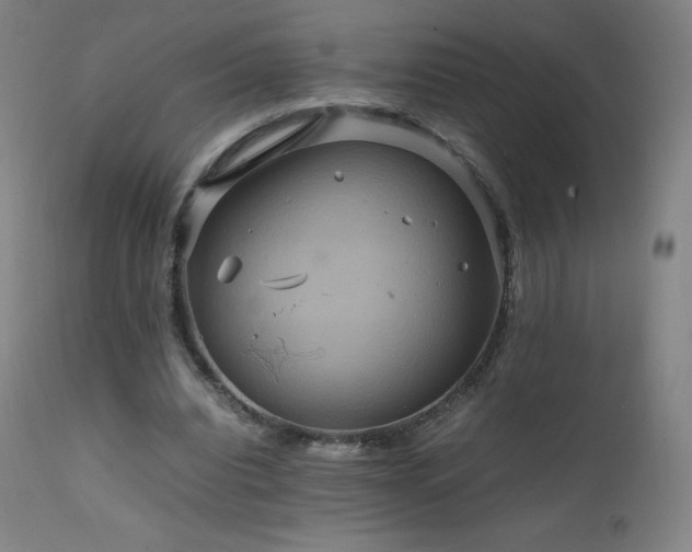 X0000111810440200907231238