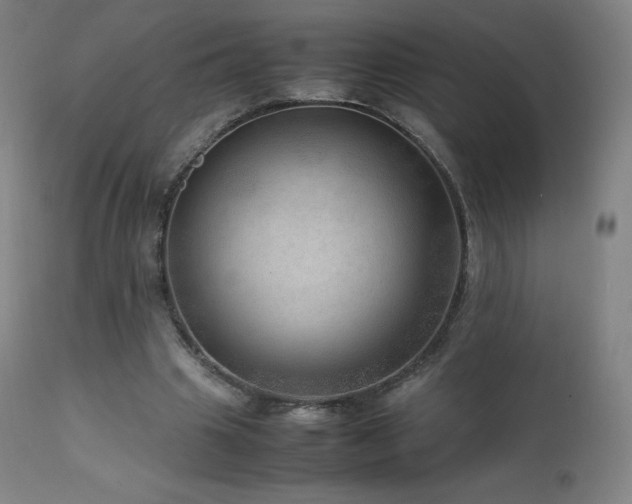 X0000111810441200907231238