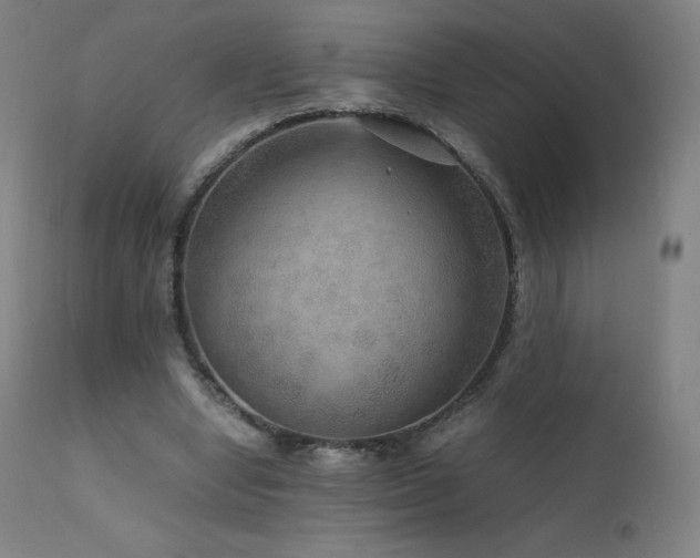 X0000111810442200907231238