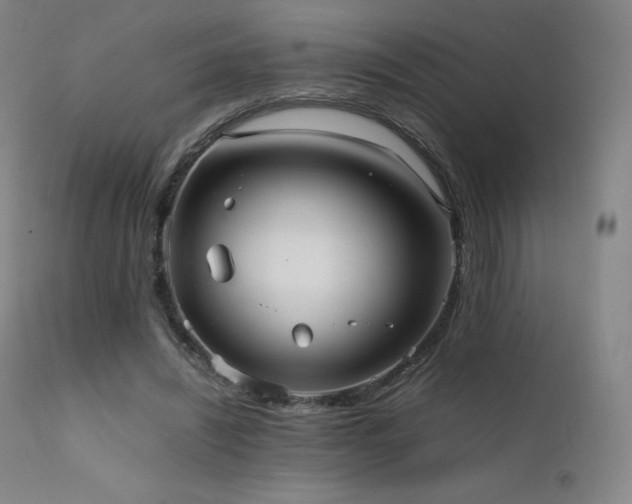 X0000111810444200907231238