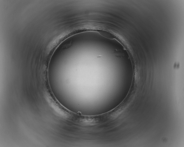 X0000111810445200907231238