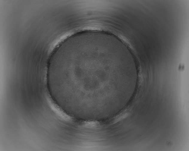 X0000111810446200907231238