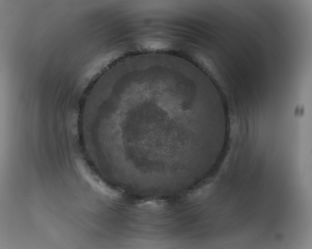 X0000111810447200907231238