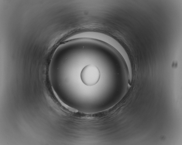 X0000111810448200907231238