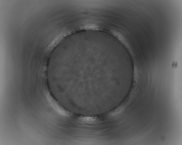 X0000111810449200907231238