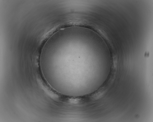 X0000111810450200907231238