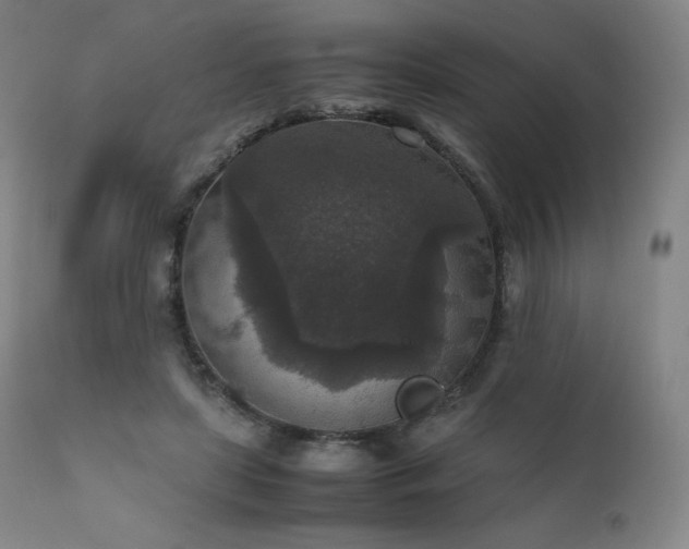 X0000111810451200907231238