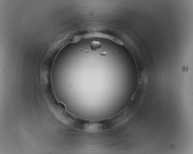 X0000111810452200907231238