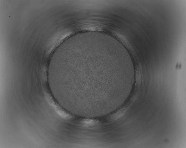 X0000111810453200907231238