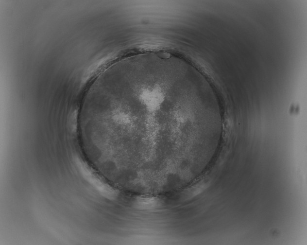 X0000111810454200907231238