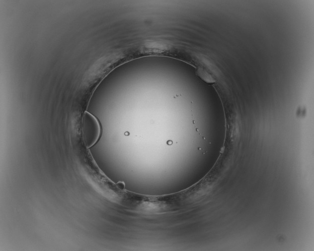 X0000111810455200907231238