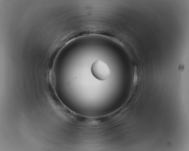 X0000111810456200907231238