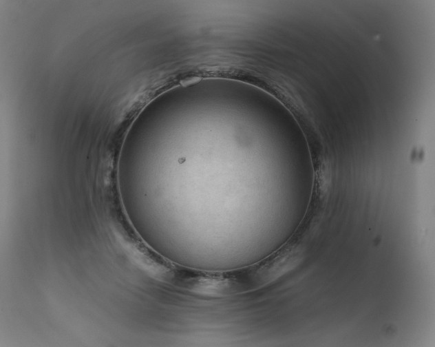 X0000111810458200907231238