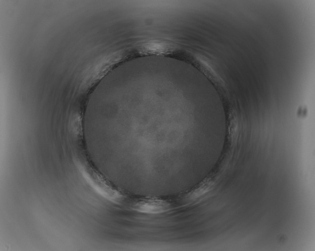 X0000111810459200907231238