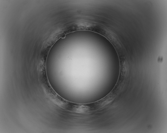 X0000111810463200907231238