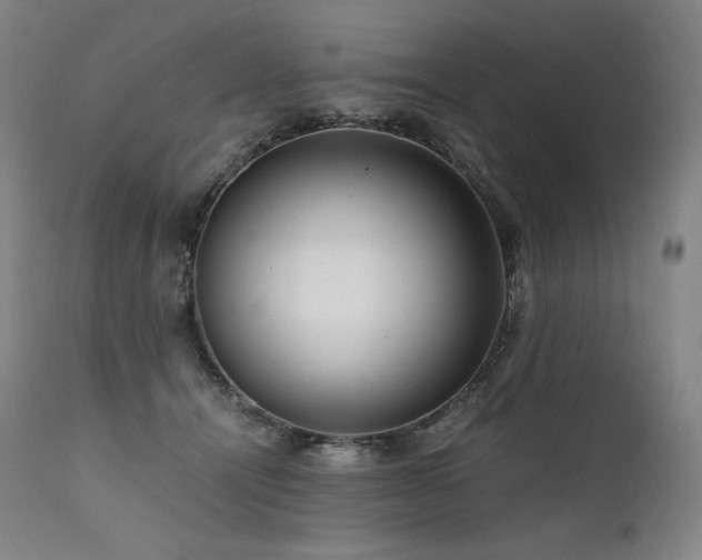 X0000111810464200907231238