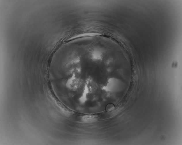 X0000111810465200907231238
