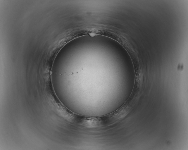 X0000111810466200907231238