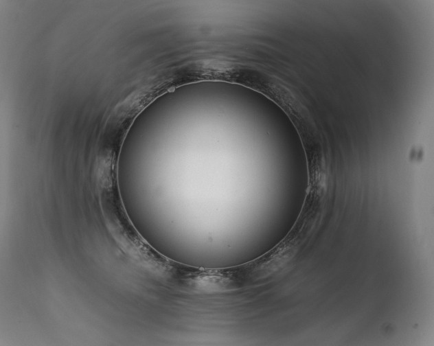 X0000111810468200907231238