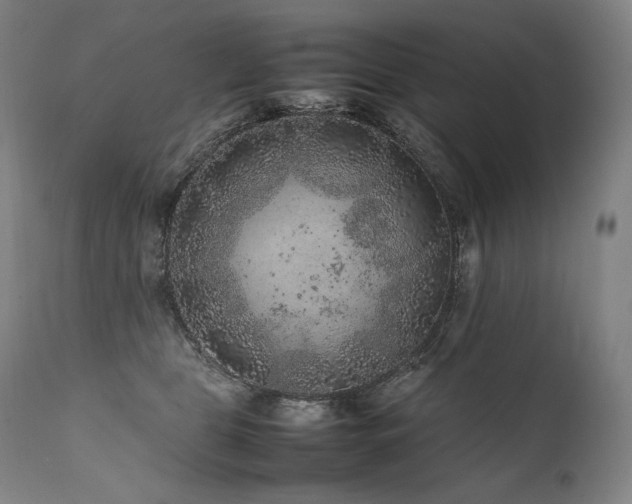 X0000111810469200907231238
