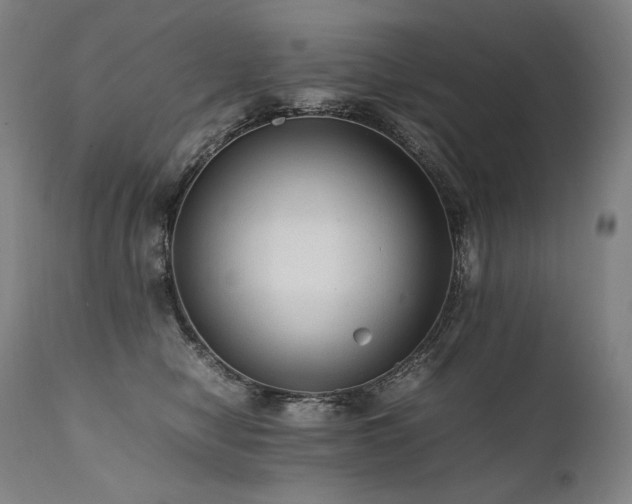 X0000111810470200907231238