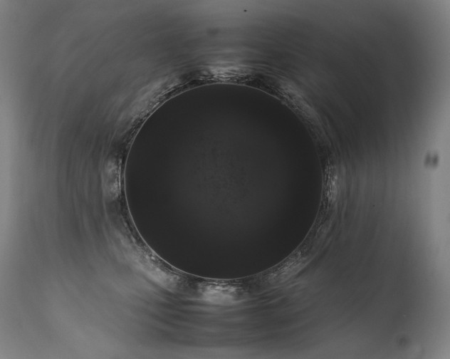 X0000111810471200907231238