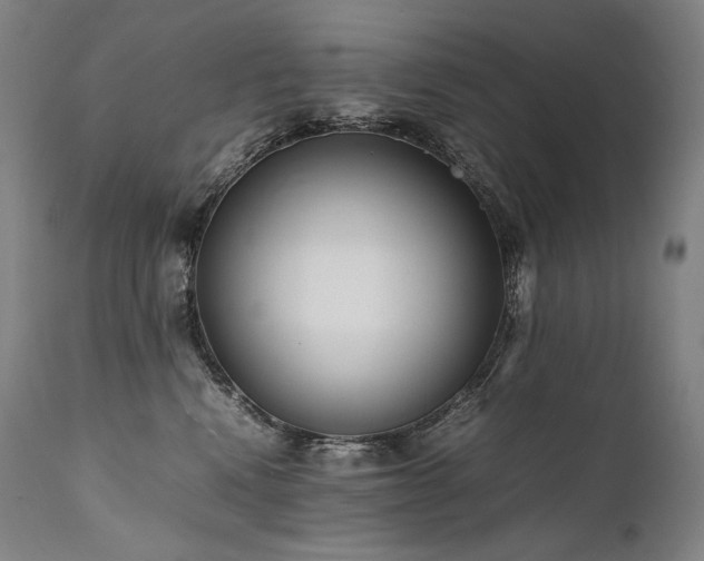X0000111810472200907231238