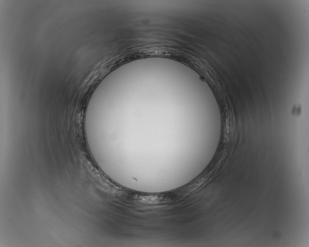 X0000111810473200907231238