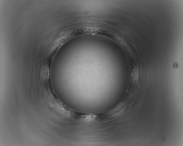 X0000111810474200907231238