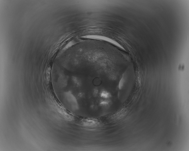 X0000111810475200907231238