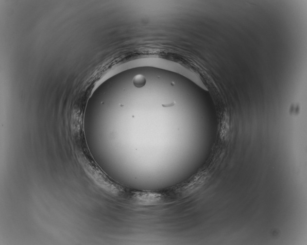 X0000111810476200907231238