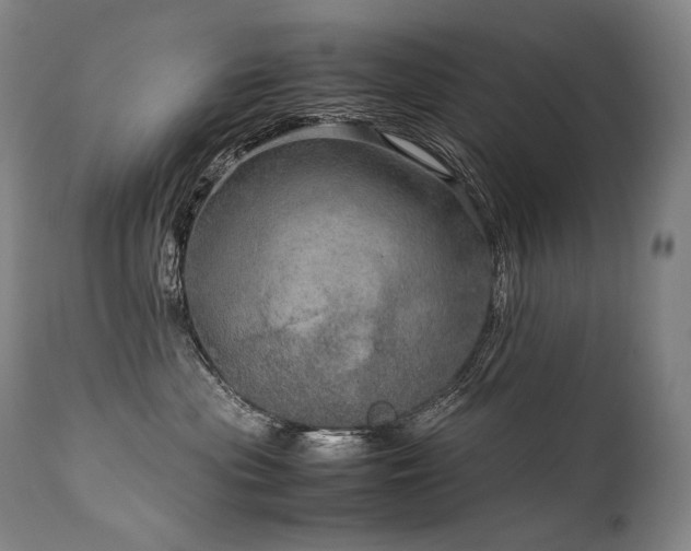 X0000111810477200907231238