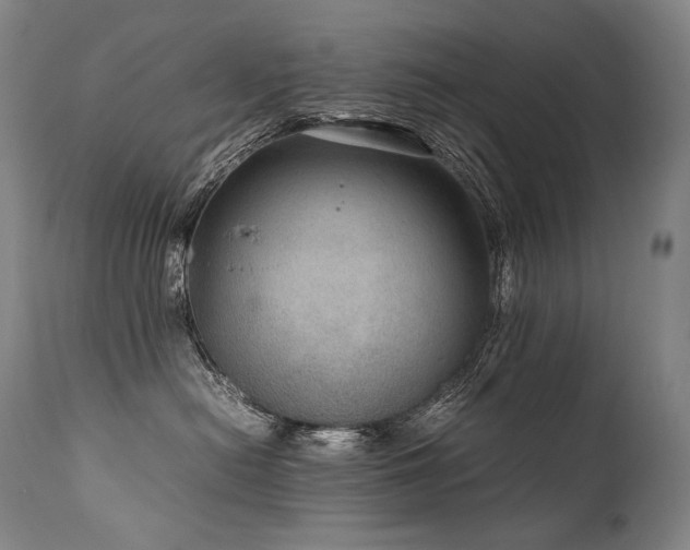 X0000111810478200907231238