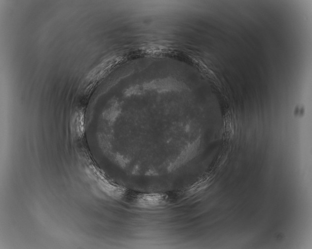 X0000111810479200907231238