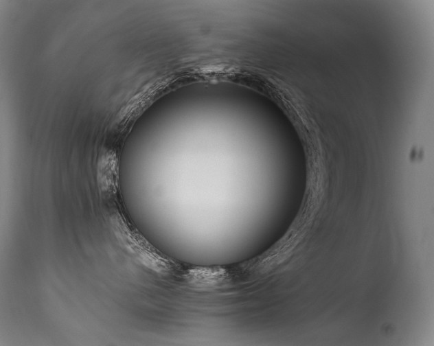 X0000111810480200907231238