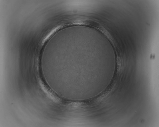 X0000111810482200907231238