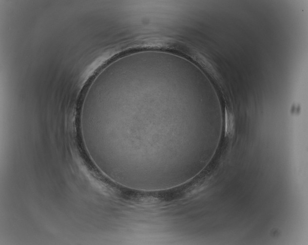 X0000111810483200907231238
