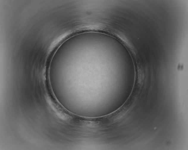 X0000111810486200907231237