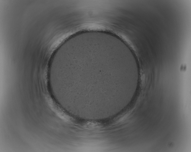 X0000111810487200907231237