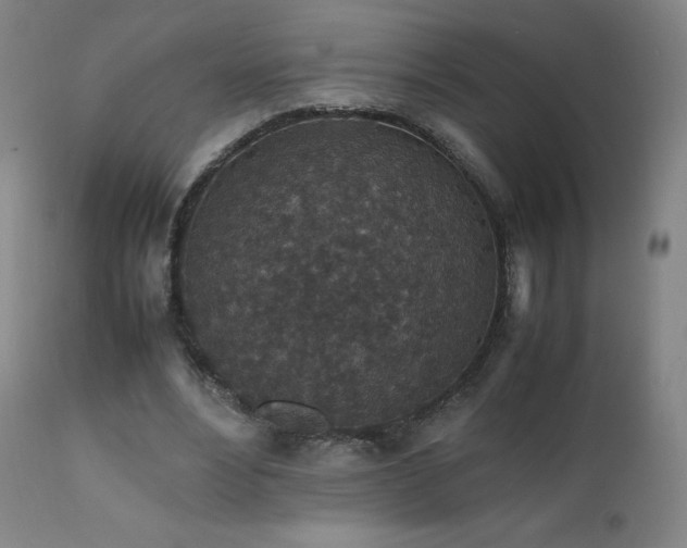 X0000111810488200907231237