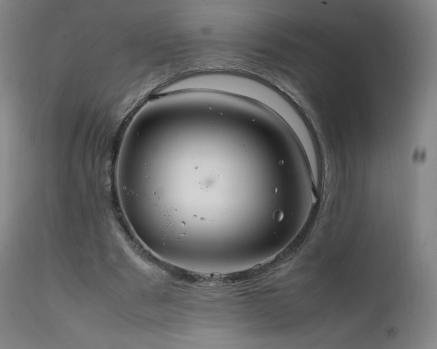 X0000111810489200907231237