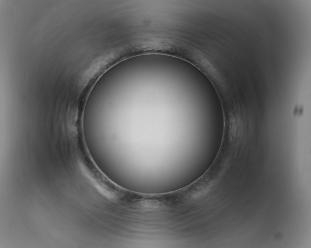 X0000111810490200907231237