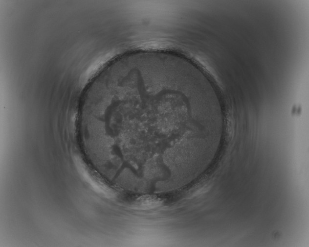 X0000111810491200907231237