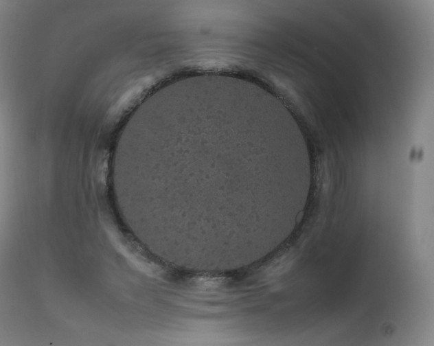 X0000111810495200907231237