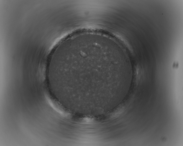 X0000111810496200907231237