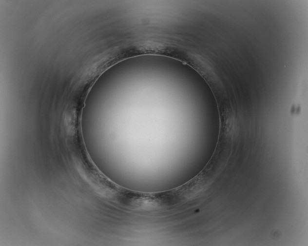 X0000111810498200907231237