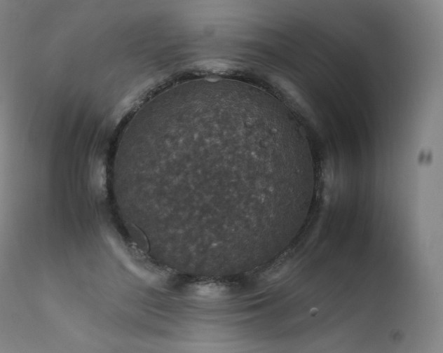 X0000111810500200907231237