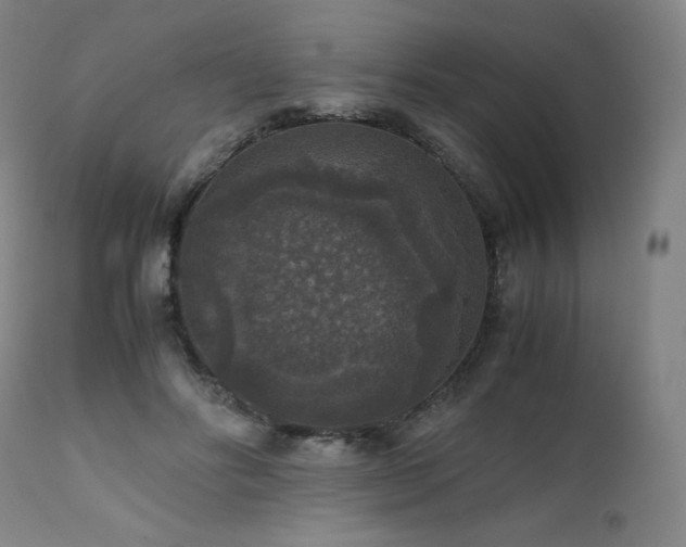 X0000111810502200907231237